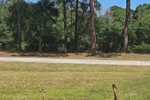 5425 James Ln, Mims, FL 32754 - Photo 49