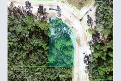 0 Bowfin (Inside NE Curve) Drive, Poinciana, FL 34759 - Photo 1