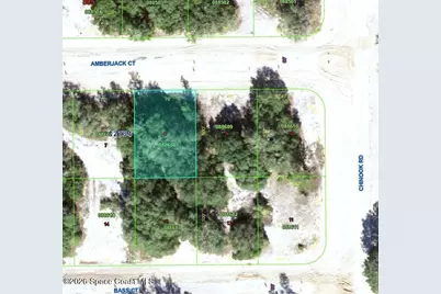 377 Amberjack Court, Poinciana, FL 34759 - Photo 1