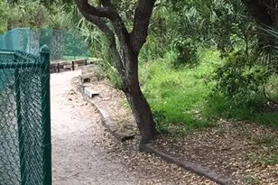 8767 Oleander Ct, Cape Canaveral, FL 32920 - Photo 25