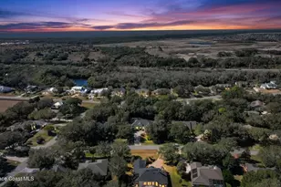 4356 Davidia Dr, Melbourne, FL 32934 - Photo 73