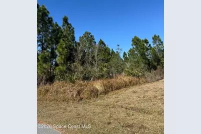 2991 Tinley Road SE, Palm Bay, FL 32909 - Photo 5