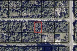 834 Saltwater Street SW, Palm Bay, FL 32908 - Photo 1