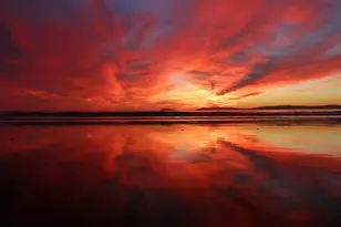 204 Adams Ave, Cape Canaveral, FL 32920 - Photo 43