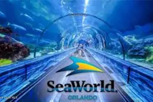 204 Adams Ave, Cape Canaveral, FL 32920 - Photo 49