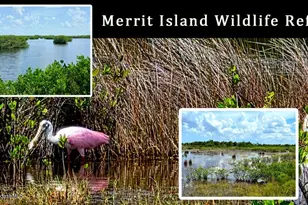 204 Adams Ave, Cape Canaveral, FL 32920 - Photo 49