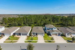 4342 Southern Vis Lp, Saint Cloud, FL 34769 - Photo 27