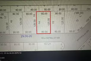 827 Yellowtail Street SW, Palm Bay, FL 32908 - Photo 1