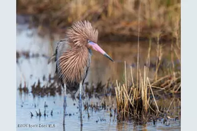 1715 N Merrimac Drive, Merritt Island, FL 32952 - Photo 35