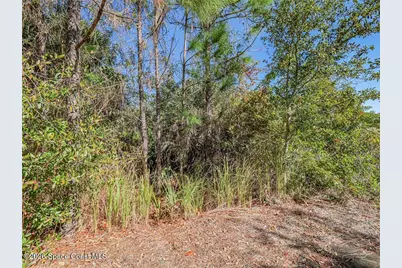 548 Saragassa Avenue SW, Palm Bay, FL 32908 - Photo 3