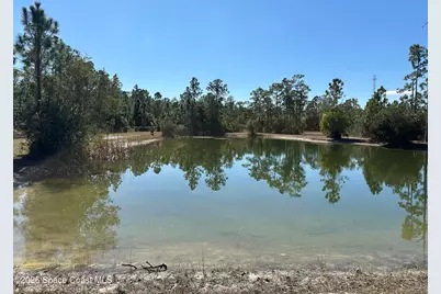 14650 87th Street, Fellsmere, FL 32948 - Photo 47