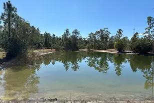 14650 87th St, Fellsmere, FL 32948 - Photo 47