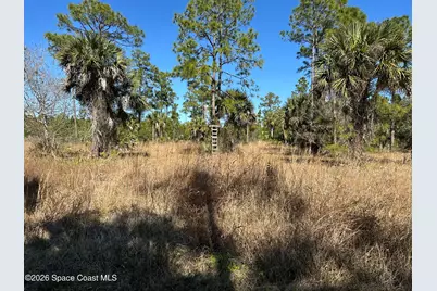 14650 87th Street, Fellsmere, FL 32948 - Photo 53