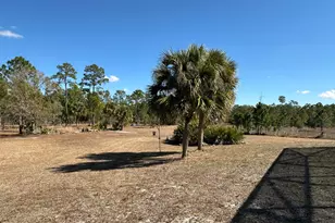 14650 87th St, Fellsmere, FL 32948 - Photo 49