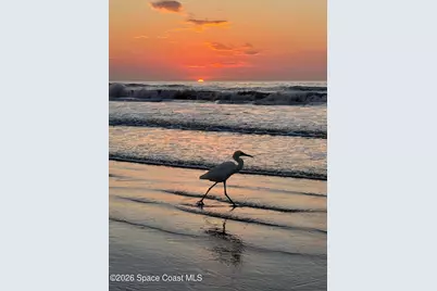 3925 Newport Street, Cocoa, FL 32927 - Photo 71