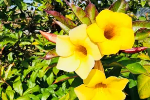 3925 Newport St, Cocoa, FL 32927 - Photo 61