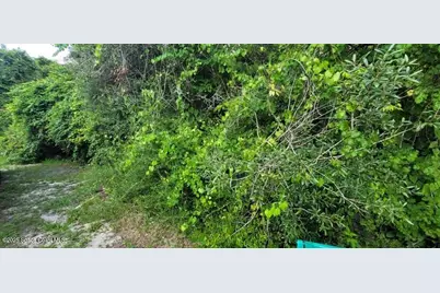 Unknown Woodland Hills Drive, Titusville, FL 32780 - Photo 7