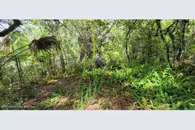 Unknown Woodland Hills Drive, Titusville, FL 32780 - Photo 9