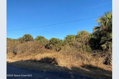 2189 Begonia Avenue SW, Palm Bay, FL 32908 - Photo 3