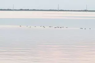 7310 N Hwy 1, Cocoa, FL 32927 - Photo 27