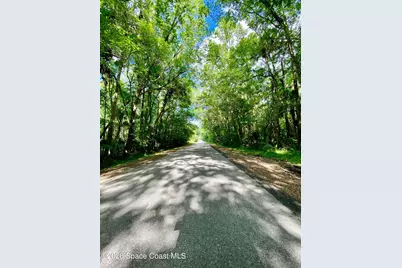 56304 Acorn Road, Astor, FL 32102 - Photo 33