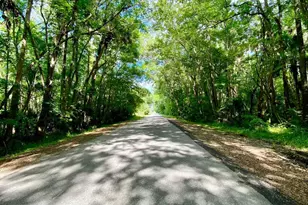 56304 Acorn Rd, Astor, FL 32102 - Photo 33