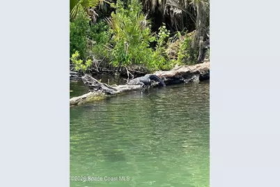 56304 Acorn Road, Astor, FL 32102 - Photo 39