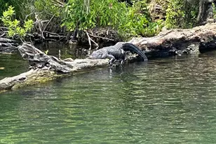 56304 Acorn Rd, Astor, FL 32102 - Photo 39