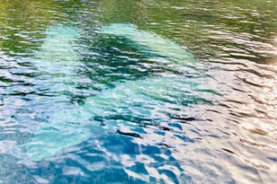 56304 Acorn Rd, Astor, FL 32102 - Photo 37