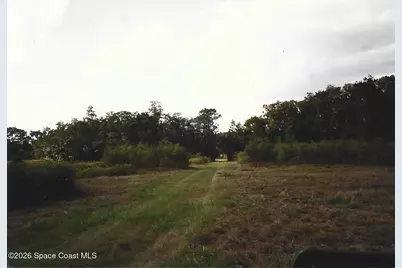 184 Guitar Drive, Sebring, FL 33870 - Photo 9