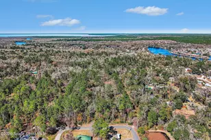 24421 Trespass Trail, Astor, FL 32102 - Photo 15