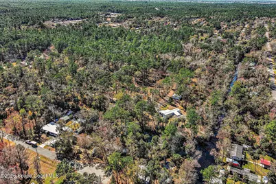 24421 Trespass Trail, Astor, FL 32102 - Photo 19