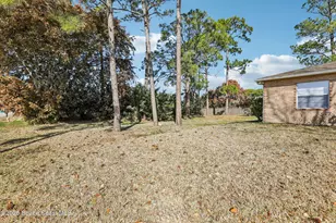 1731 Radisson St NW, Palm Bay, FL 32907 - Photo 35