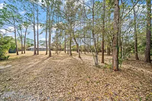 4520 White Rd, Melbourne, FL 32934 - Photo 29