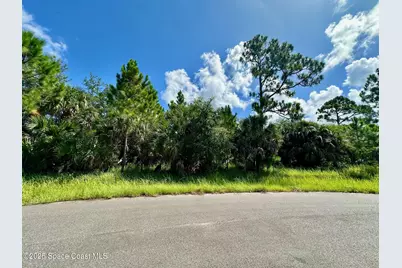 101 Lafleur Street SW, Palm Bay, FL 32908 - Photo 3