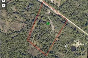 9175 Freedom Rd, Mims, FL 32754 - Photo 29