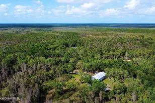 9175 Freedom Rd, Mims, FL 32754 - Photo 33