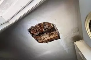 1204 Japonica Ln, Cocoa, FL 32922 - Photo 15