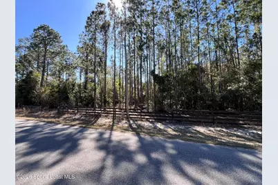 181 Lakeway Drive, Georgetown, FL 32139 - Photo 13