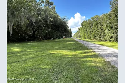 181 Lakeway Drive, Georgetown, FL 32139 - Photo 25