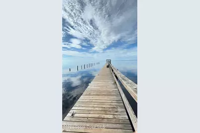 181 Lakeway Drive, Georgetown, FL 32139 - Photo 29