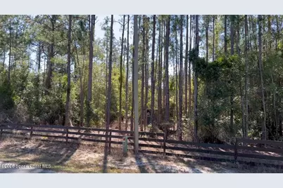 181 Lakeway Drive, Georgetown, FL 32139 - Photo 3