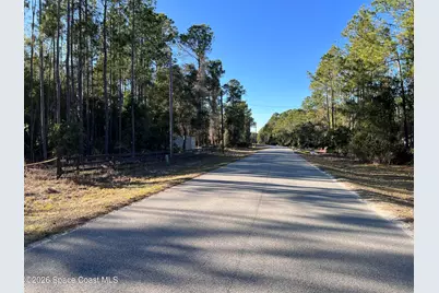 181 Lakeway Drive, Georgetown, FL 32139 - Photo 5