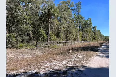 181 Lakeway Drive, Georgetown, FL 32139 - Photo 15