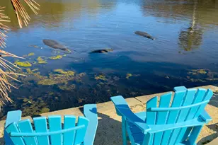 999 Sunswept Rd NE, Palm Bay, FL 32905 - Photo 67