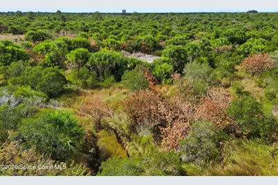 1005 Cartret Street SW, Palm Bay, FL 32908 - Photo 5