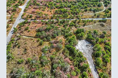 1005 Cartret Street SW, Palm Bay, FL 32908 - Photo 9