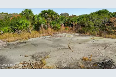 1005 Cartret Street SW, Palm Bay, FL 32908 - Photo 7