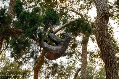 4828 S Peninsula Drive, Ponce Inlet, FL 32127 - Photo 115