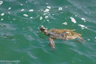 213 E Grant Avenue, Cocoa Beach, FL 32931 - Photo 57